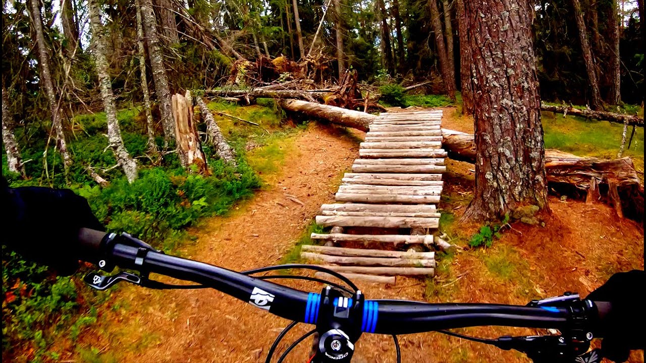 Bymarka: Geitfjellet - Langdalskollen - Rotmo