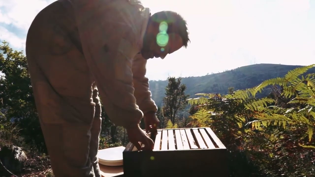 TERRAS DE BOBORÁS