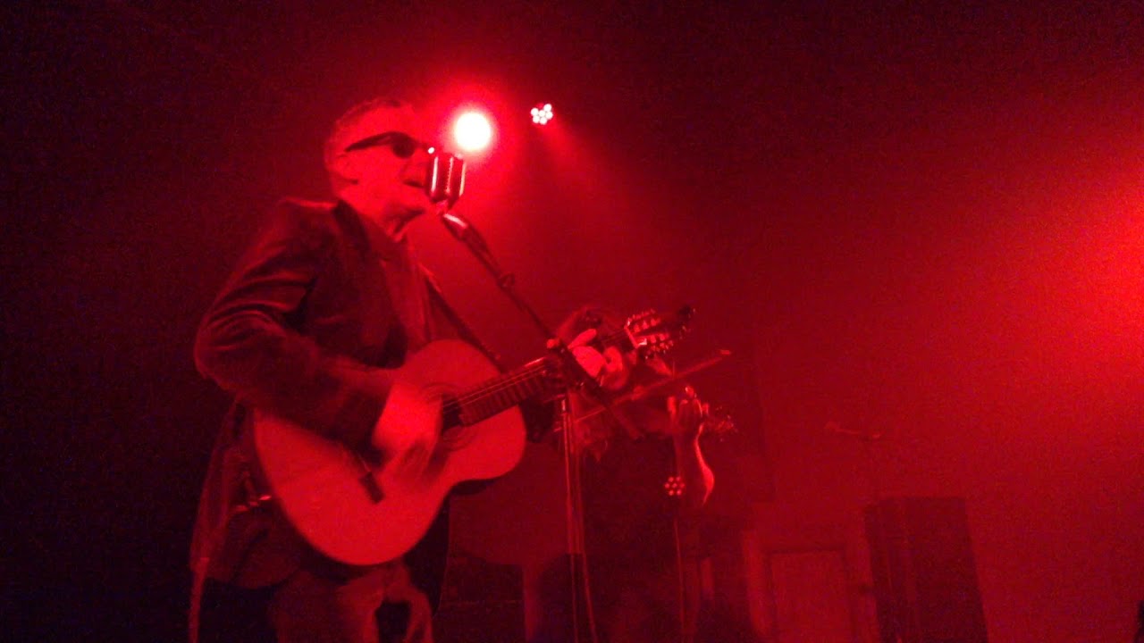 David J  The Auteur- LIVE