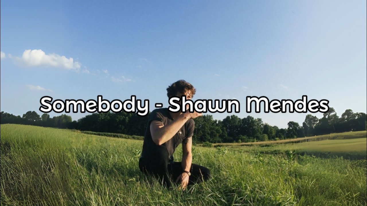 Shawn Mendes - Somebody [Lyric Video] [Unreleased]