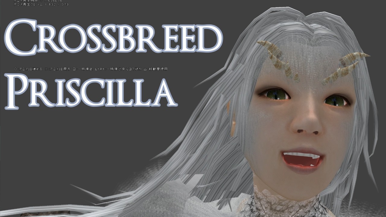 Crossbreed Priscilla in Details - DS1 vs DSR