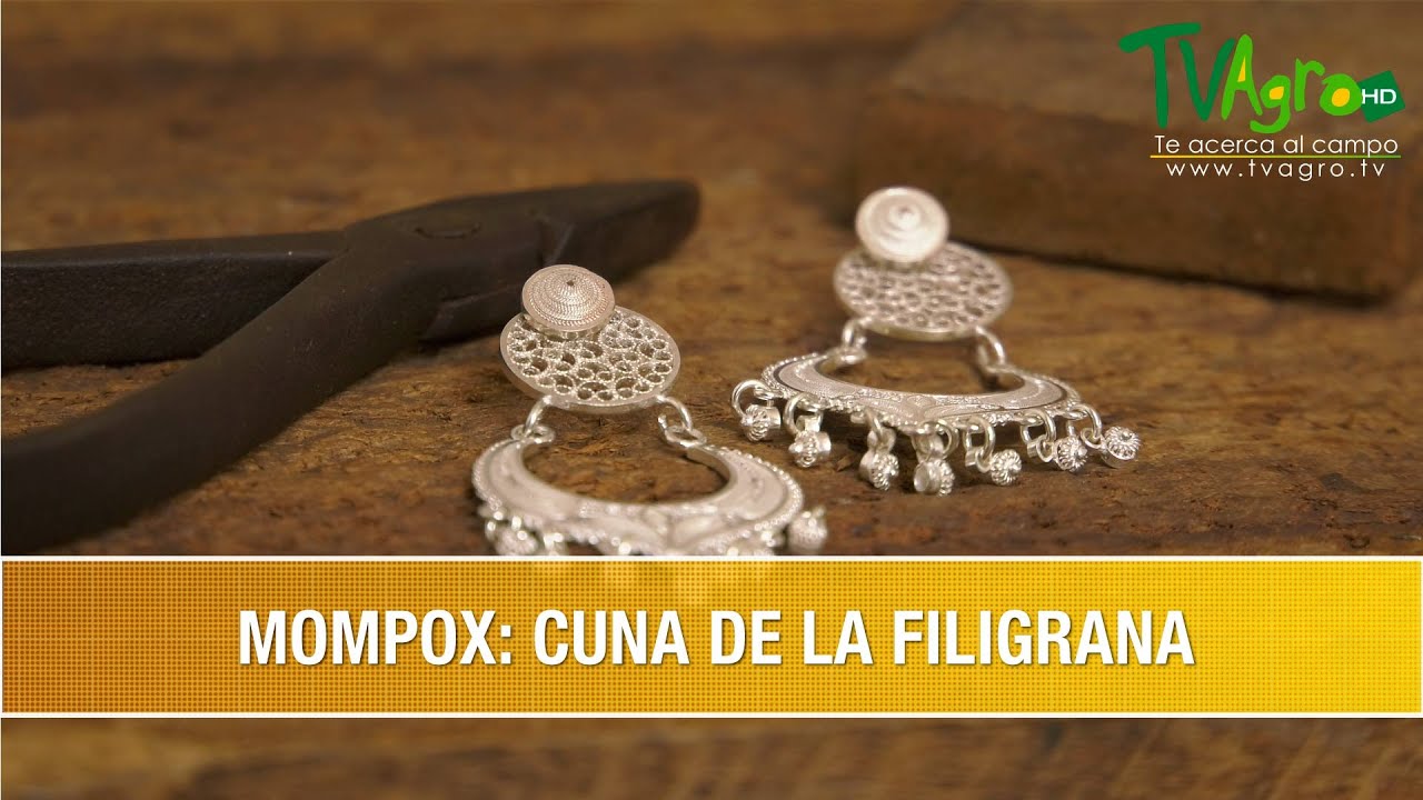 Como es la Produccion de Filigrana en Santa Cruz de Mompox- TvAgro por Juan Gonzalo Angel Restrepo