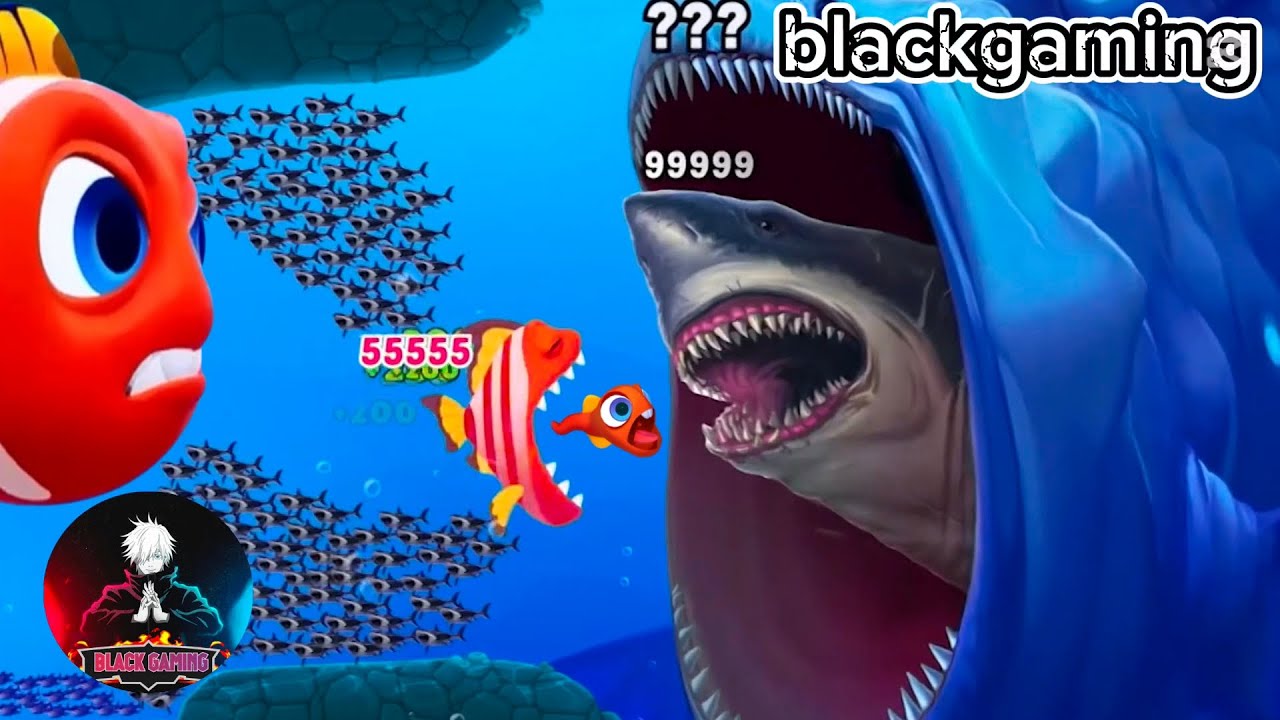 Fishdom Ads mani game Hungry fish 16.8 new update Trailer fishdom Video