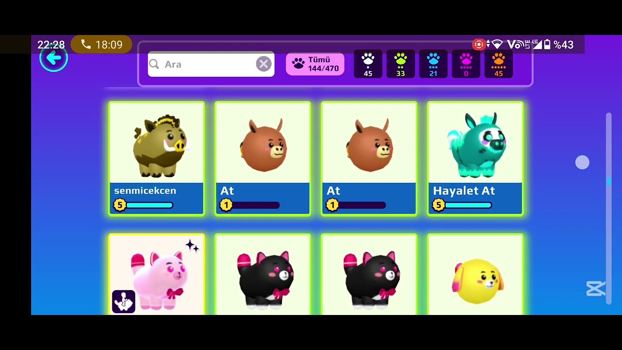 Arkadaşımla pet takası yapıyoruz 😁🎀 (karda değilim 🤧)