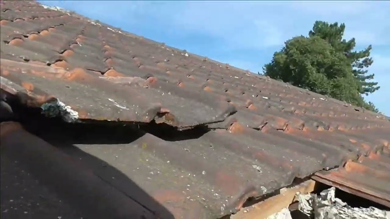 Traitement nid de guêpes dans un toit, grosse attaque !