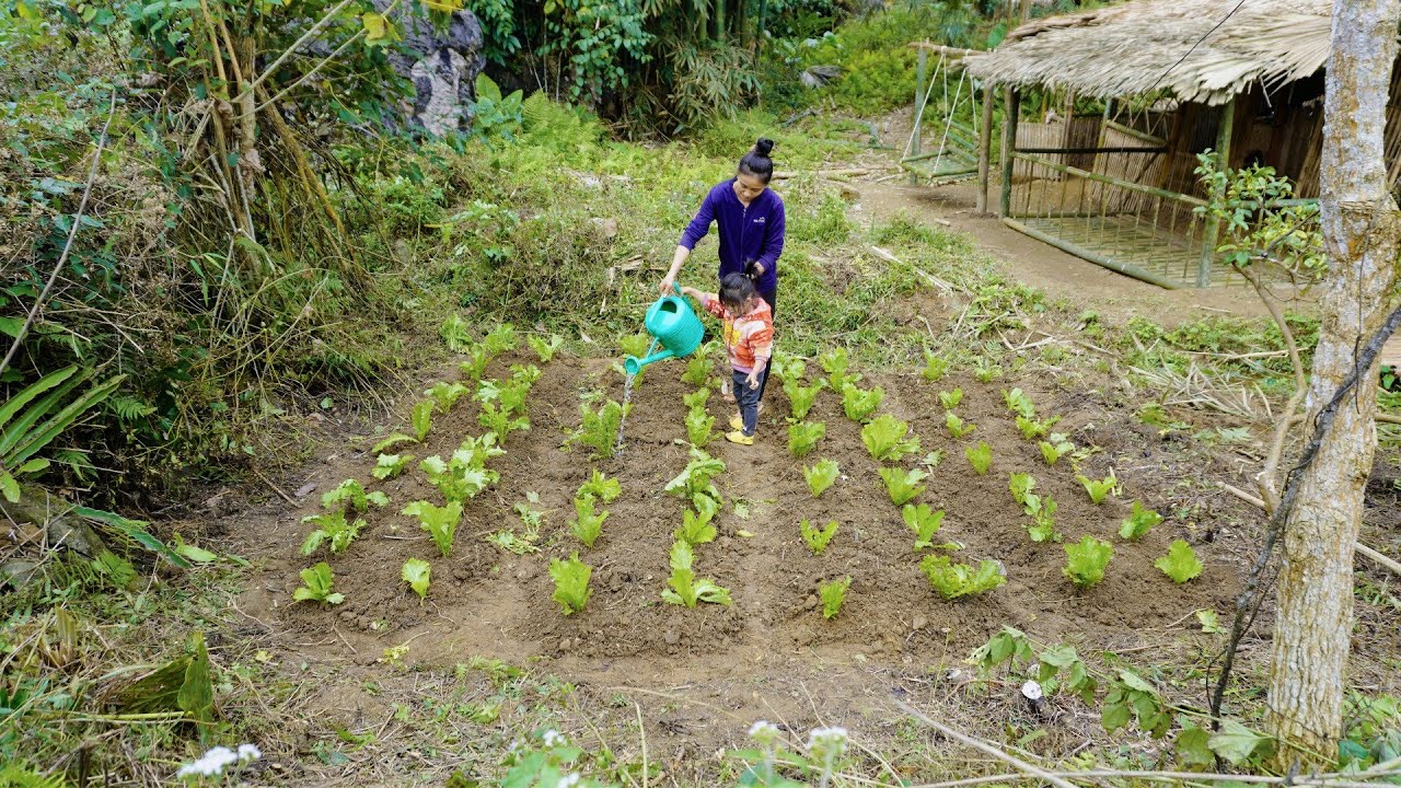Life of an 18-Year-Old Single Mother in a Bamboo House - Gardening and Starting to Settle Down