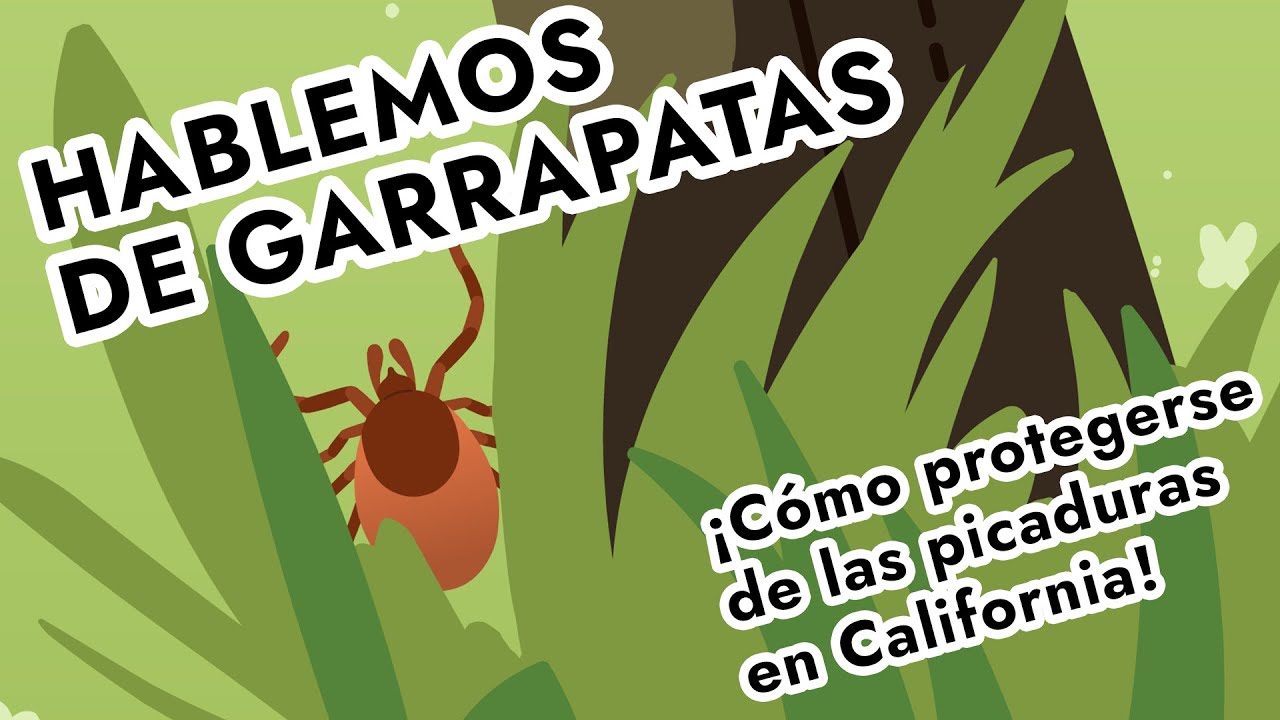 Hablemos de Garrapatas: ¡Aprenda sobre las garrapatas y la enfermedad de Lyme en California!