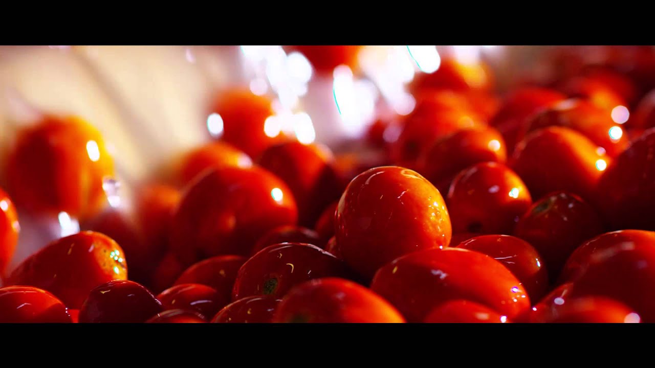 Petti - Il pomodoro al centro