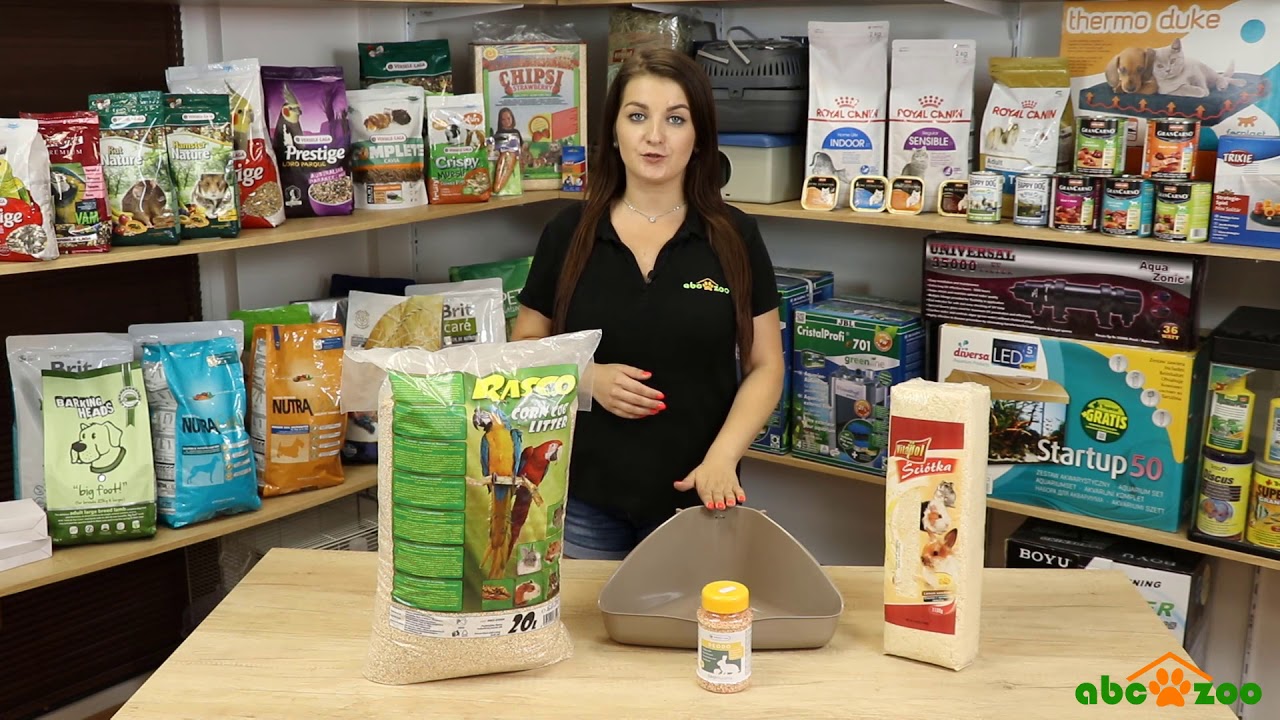 Čo všetko potrebuje moje morča?