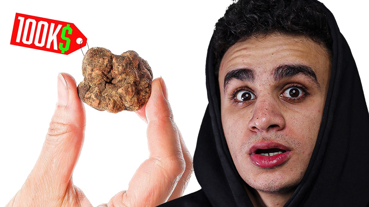 ليه الترافيل أكل الاغنيـــاء فقط