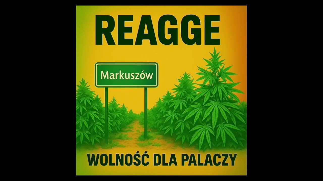 MKW REGGAE - 