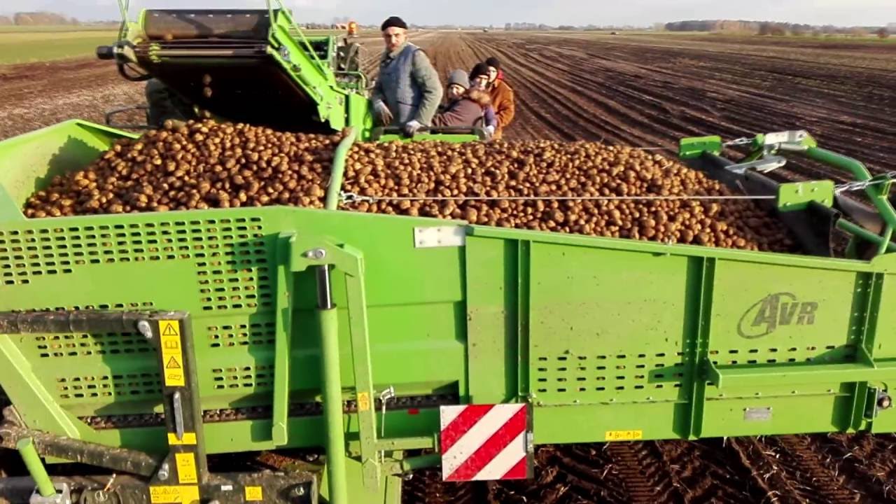 Agro-Sieć Maszyny - testy w polu 2016 - AVR Spirit 6200