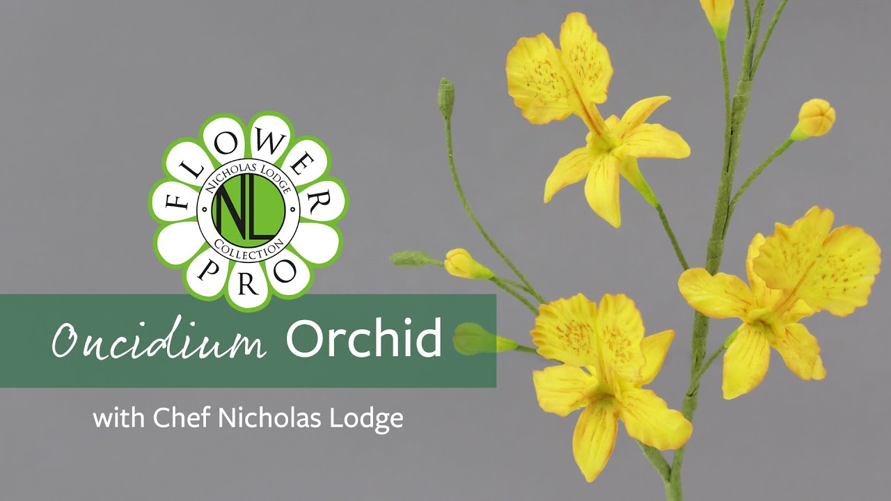 Oncidium Orchid | Make Flower Pro Ultimate Orchids For Cakes & Crafts Part 2
