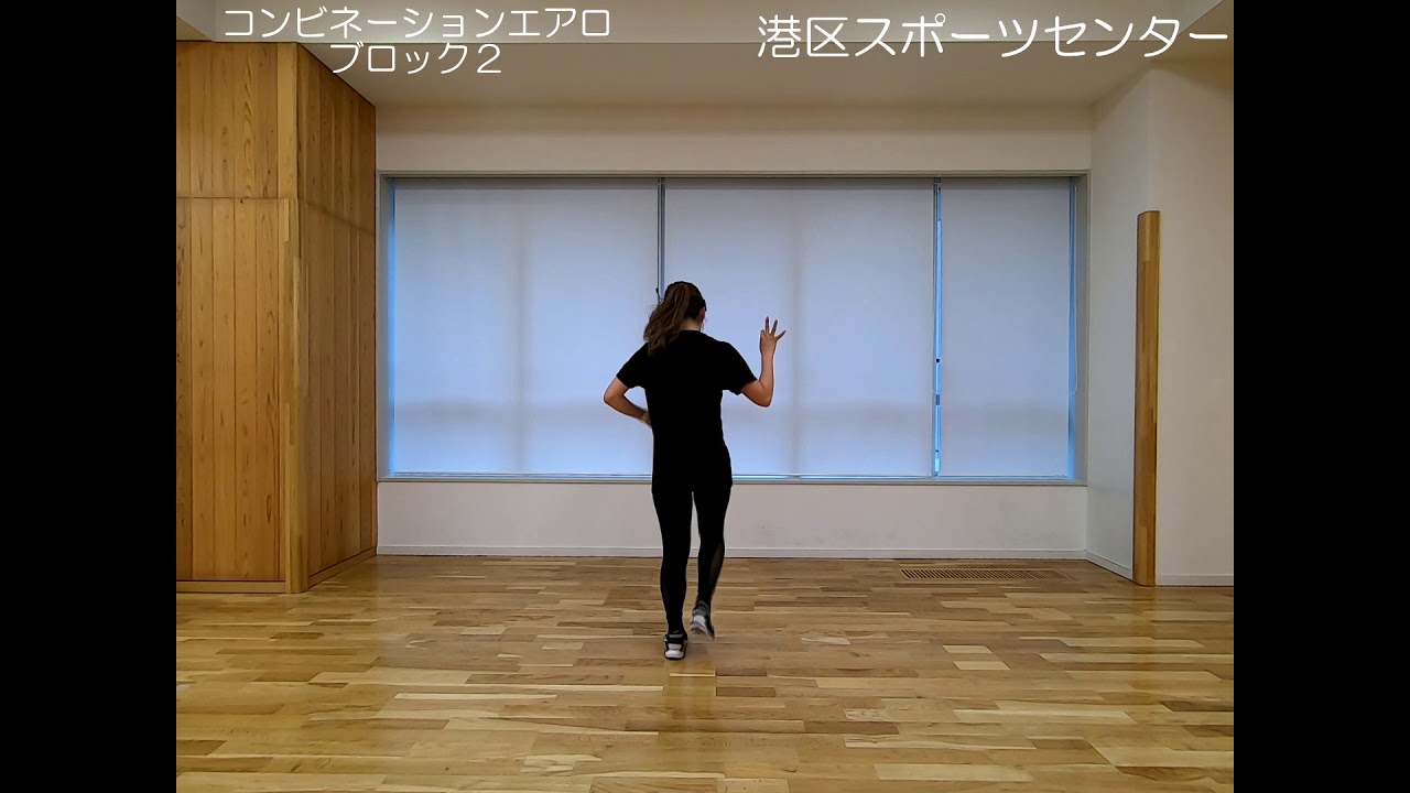 コンビネーションエアロ/IR：mii