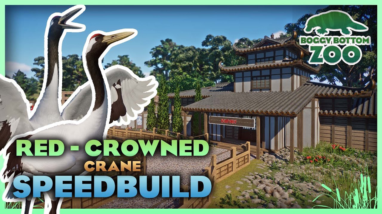 Japanese-Inspired Red Crowned Crane Habitat! | Boggy Bottom Zoo