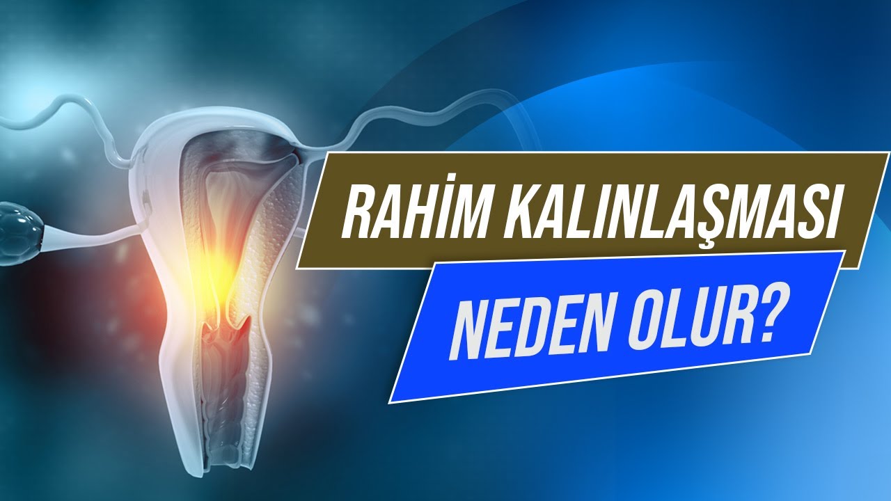 Rahim Duvarı Kalınlaşması Nedir? Rahim Duvarı Neden Kalınlaşır? Kalınlaşmazsa Ne Olur?