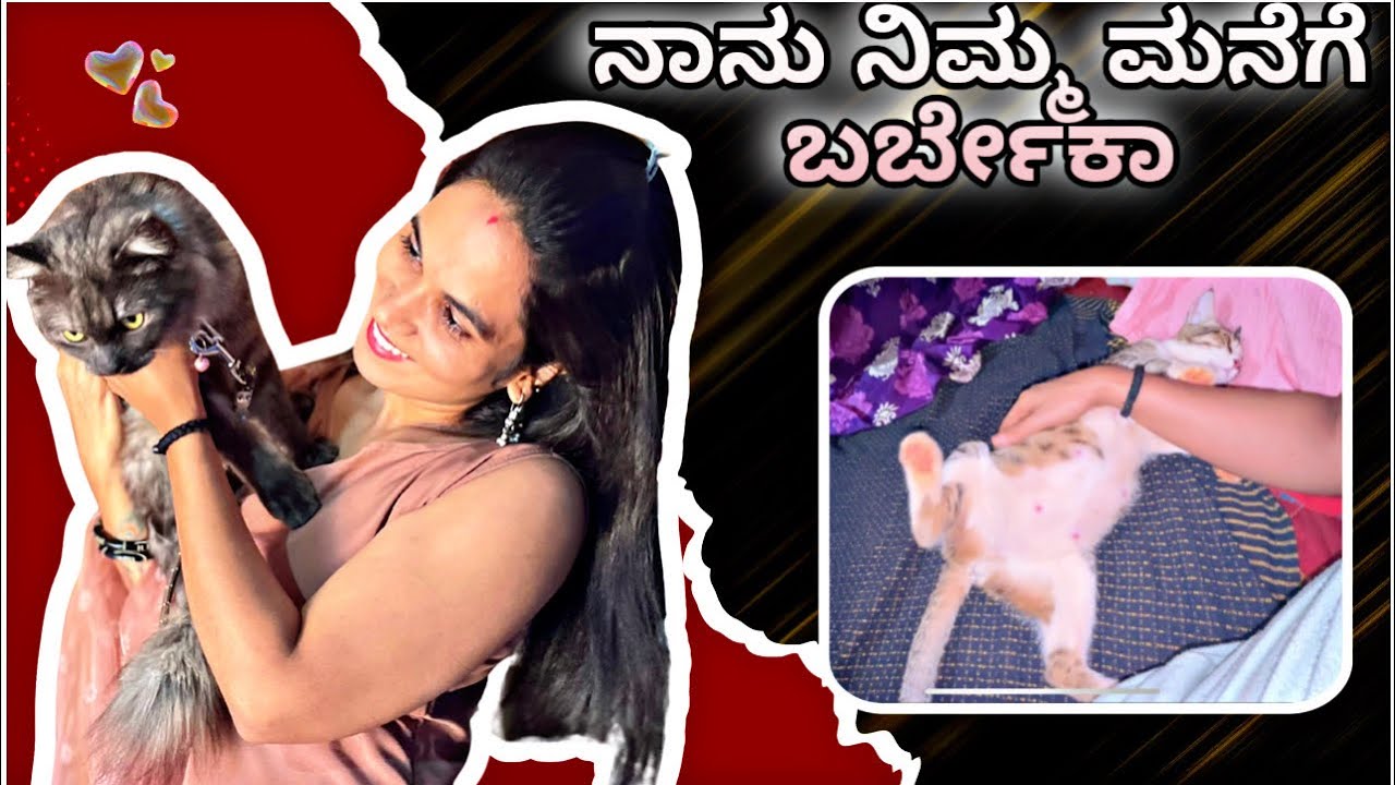 ನಾನು ನಿಮ್ಮ ಮನೆಗೆ barabahudaa | ಮಿಂಚು ಗೆ ಡೆಲಿವೆರಿ ಆಯ್ತಾ | #dailyvlogs 
