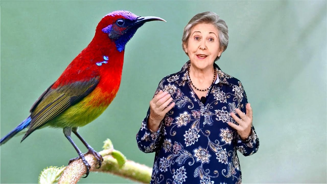El Pájaro de la Libertad