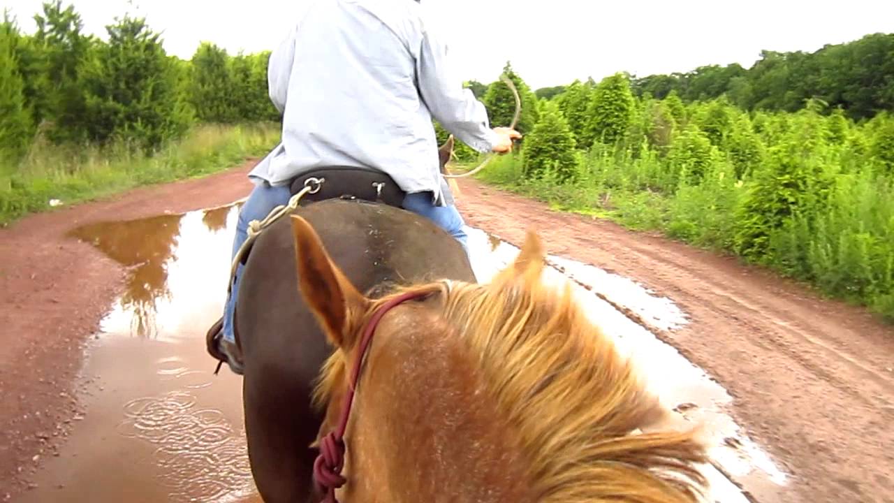 Trail ride fun!!!
