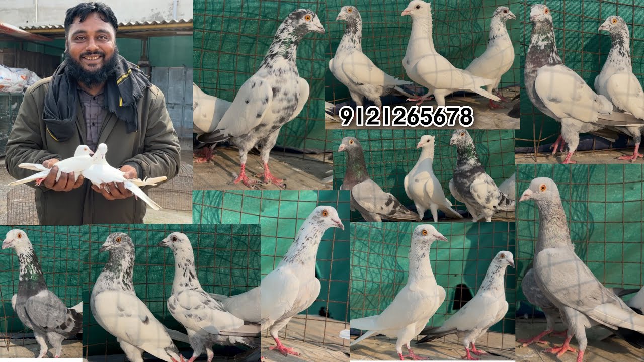 Irshad Ali da from West Bengal has visited my loft in Guntur | Andhra Pradesh 