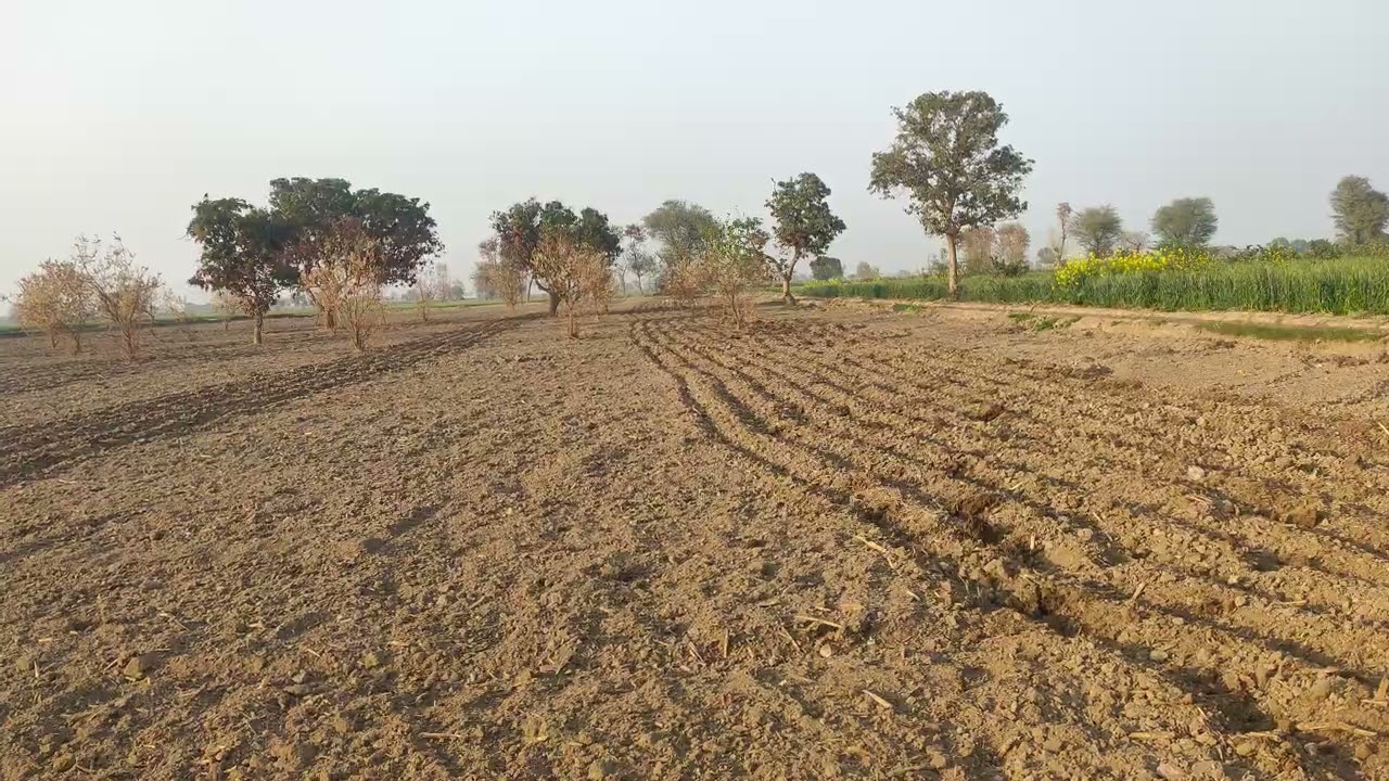 February Sugarcane Sowing | Ganna February Kasht & Complete Land Preparation Guide 2026
