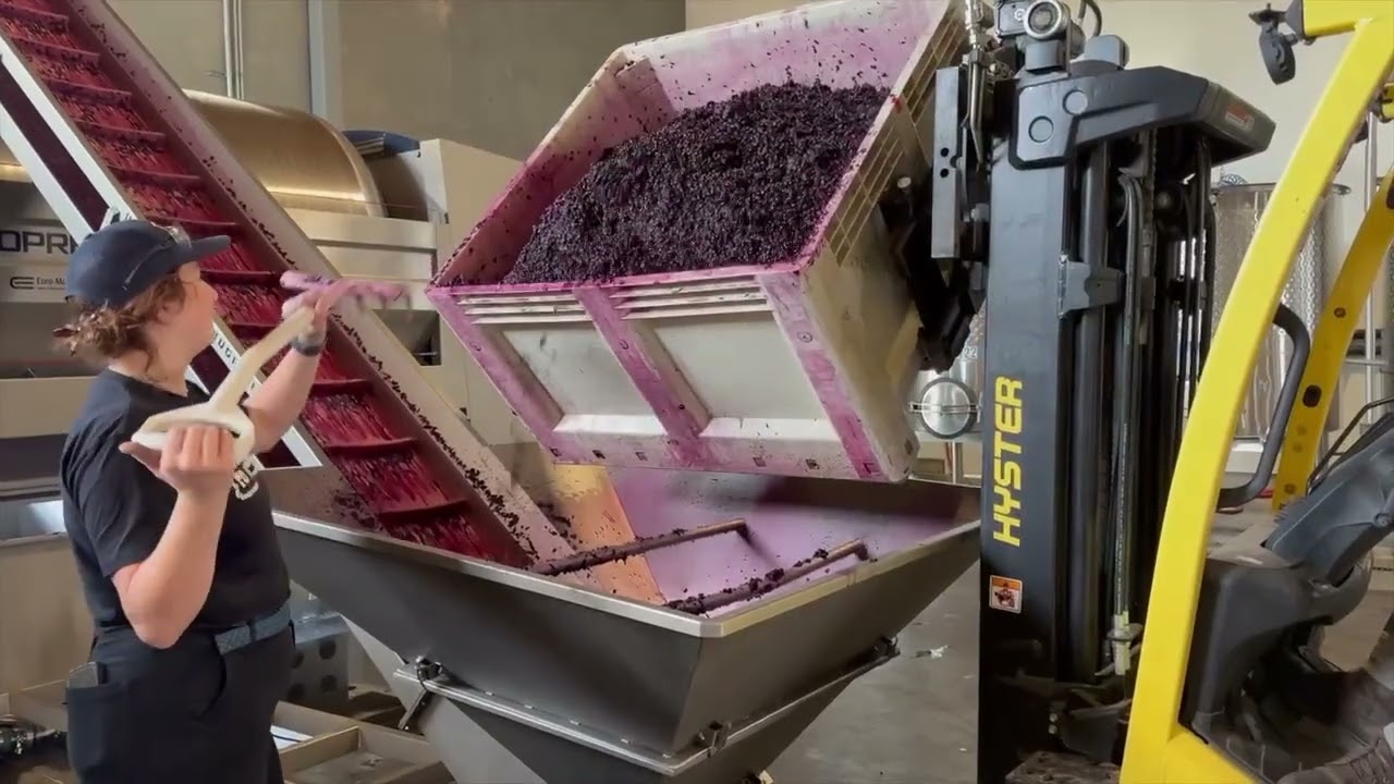 Winemaking in Action | Red Mountain Harvest to Production