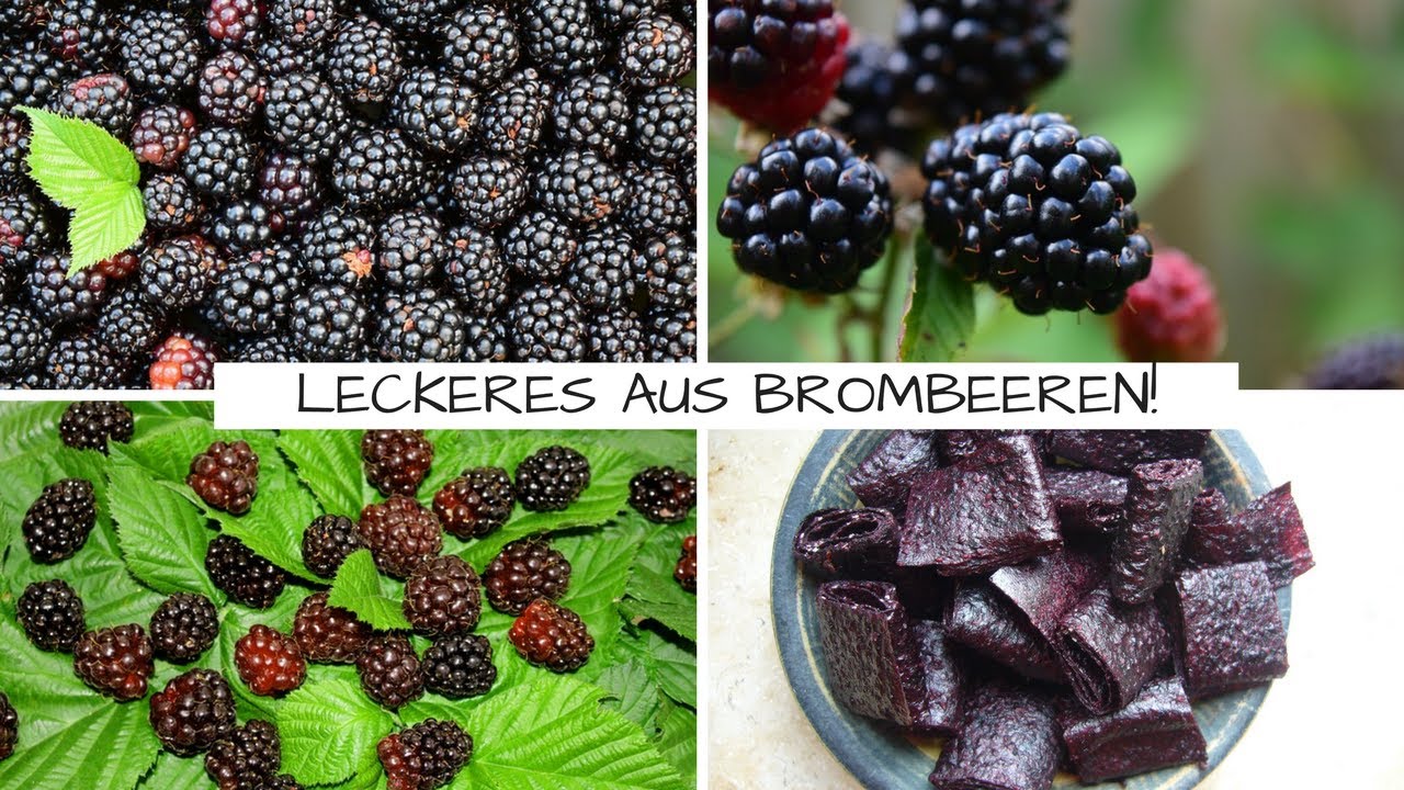 Brombeeren sammeln + Fruchtleder, Grütze und Eis herstellen