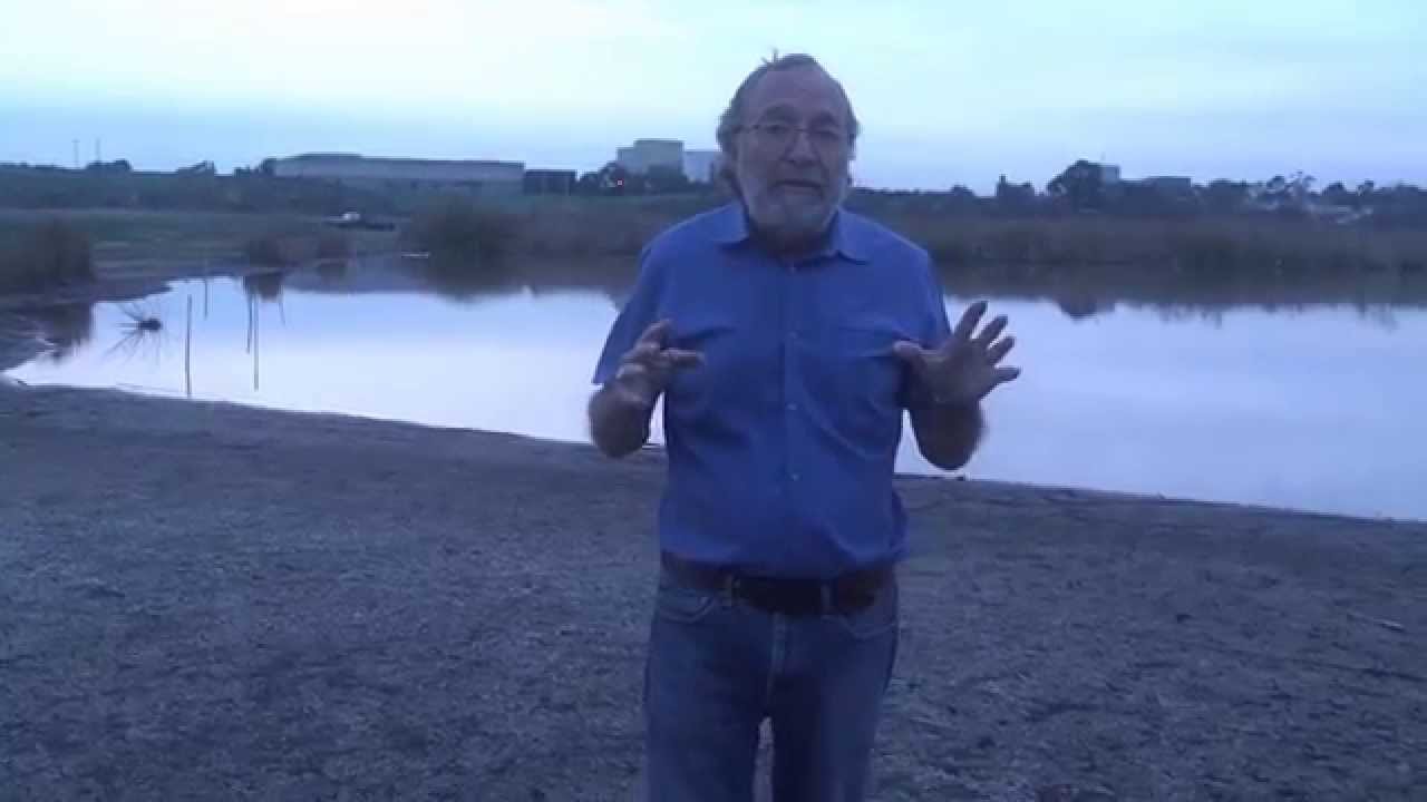 Legend of the San Joaquin Marsh