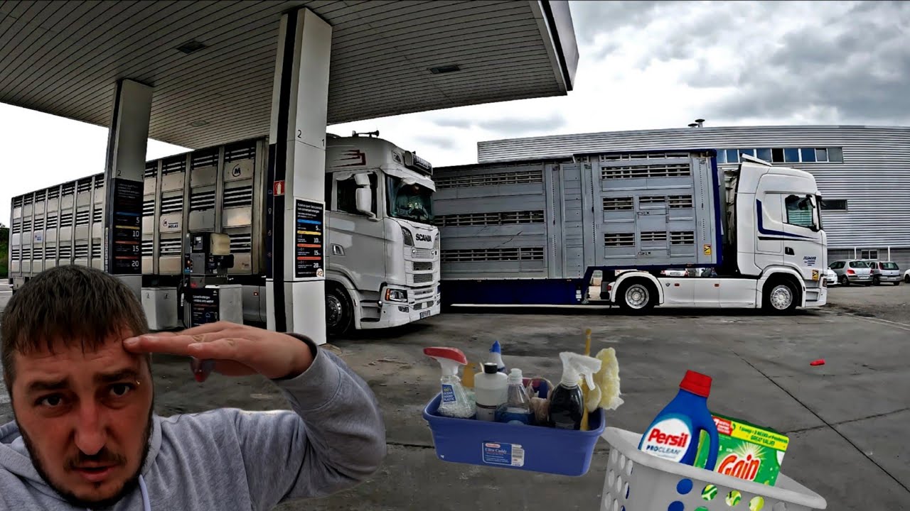 Cum se spala o remorca de animale vii dupa descarcare #camion #sofer #trucker #trucking 