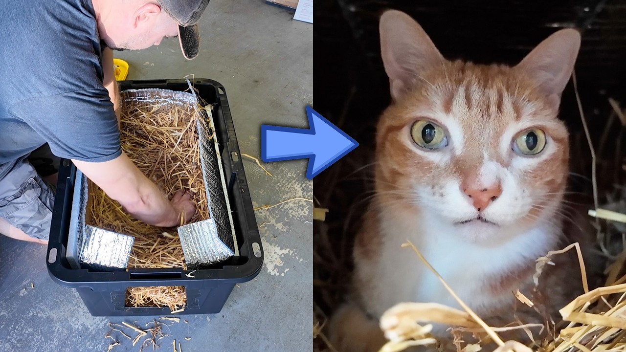 How To Make a Simple Outdoor Cat Shelter ❤️