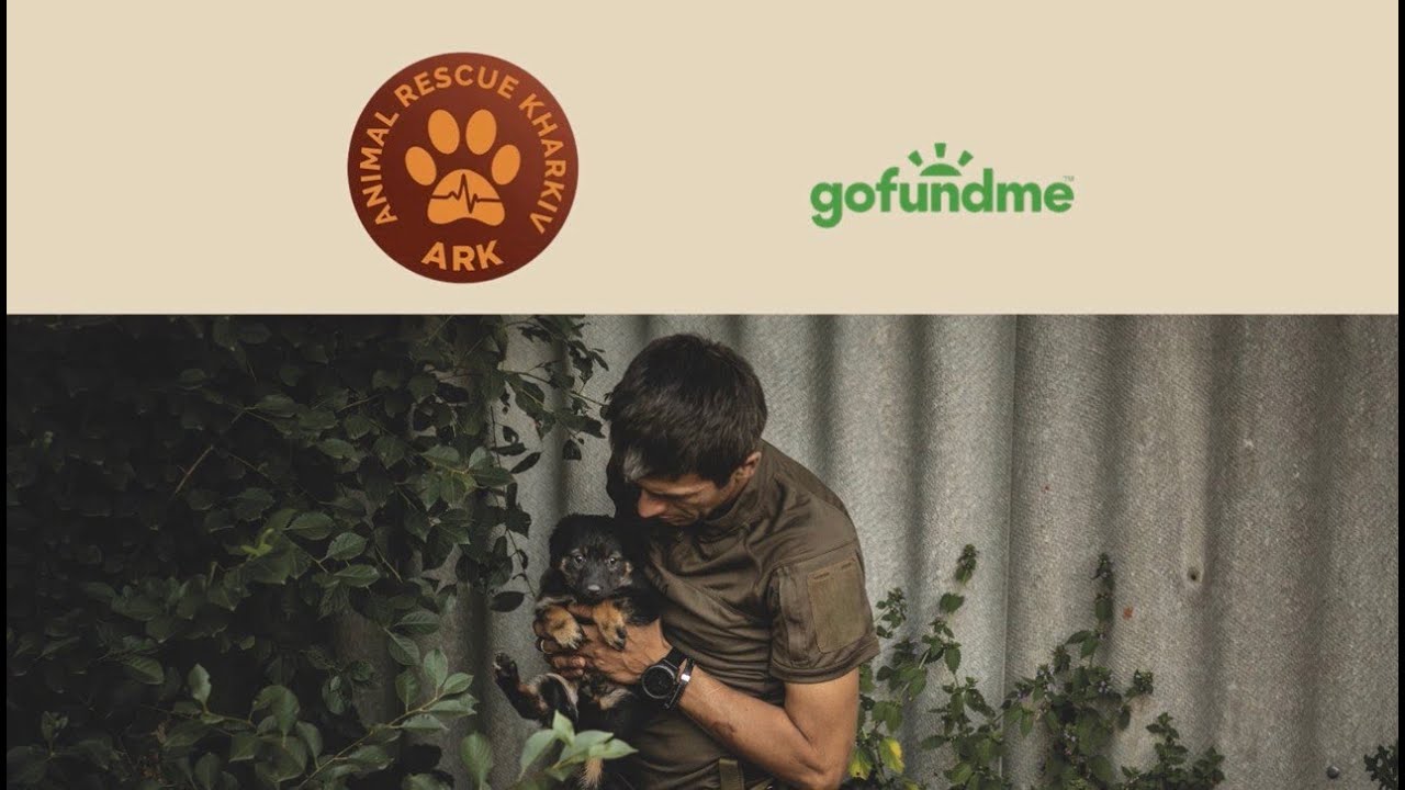 GOFUNDME VACCINATION DRIVE