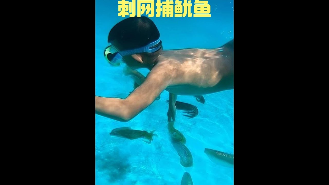 漁民站在漁船發現魚群就用刺網圍起來，一會就捕到幾十斤魷魚 #捕魚 #趕海 #戶外 #漁民日常
