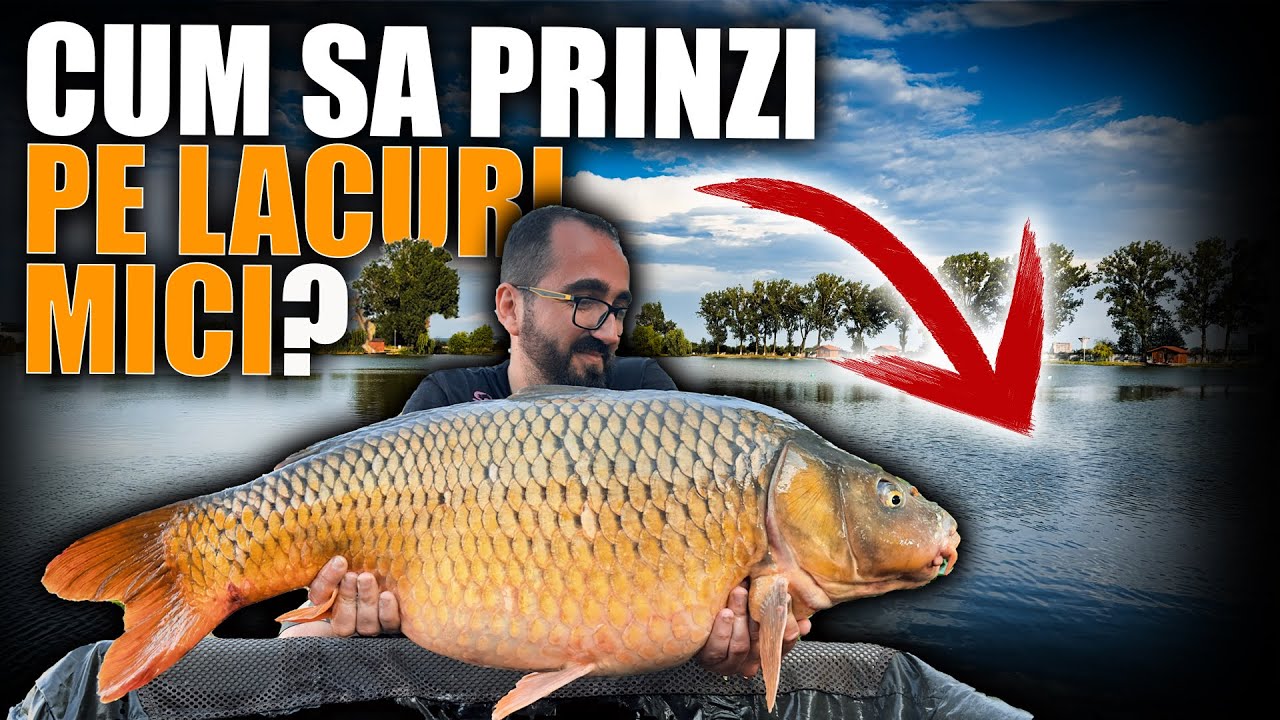 Prinde Crapi Mari pe Lacuri Mici - Pleasa