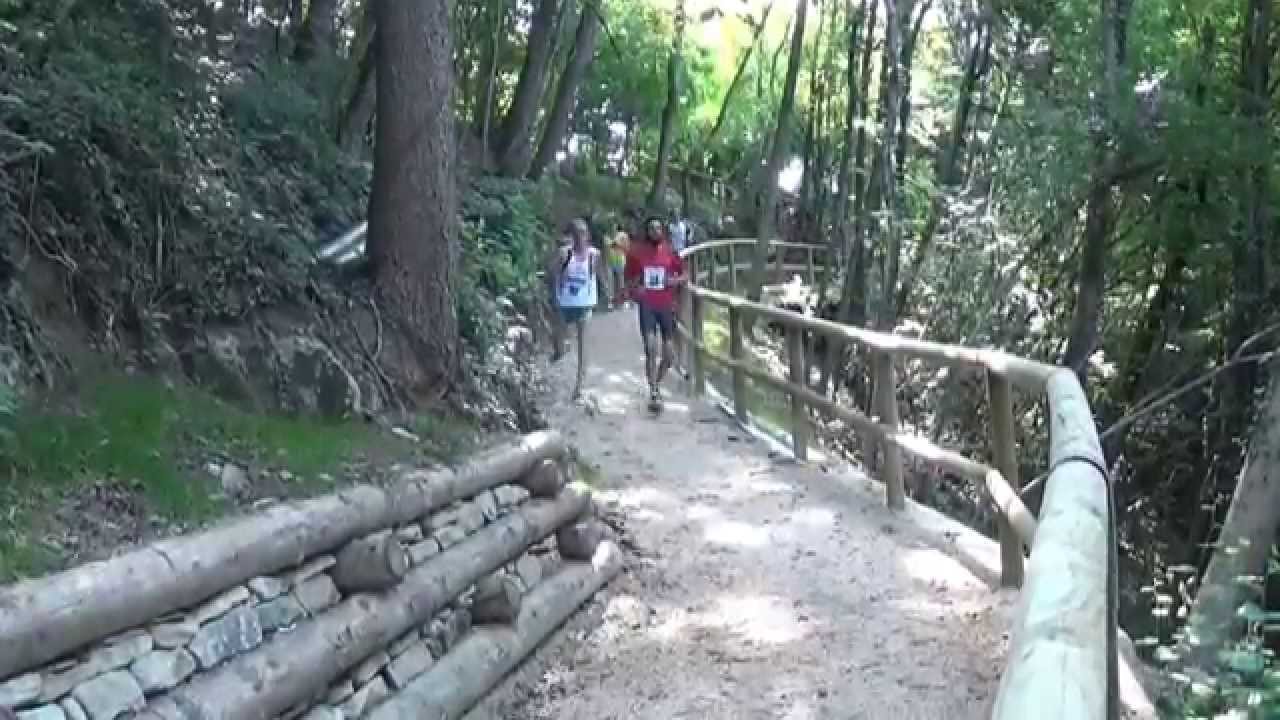 Trichiana    Giro delle Ville 2015     prossimità dell'arrivo km 12