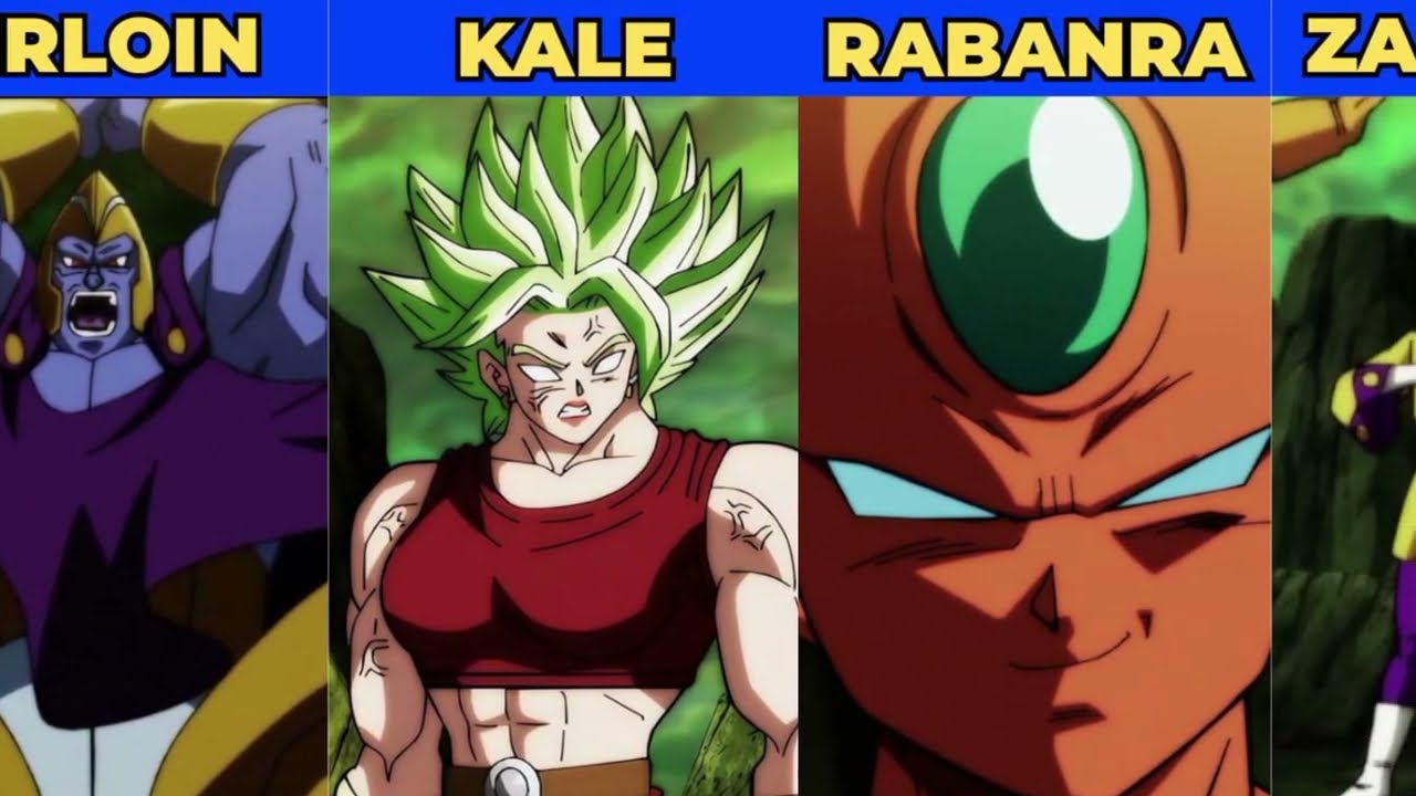 Todos personagens que o Goku enfrentou no Torneio do Poder
