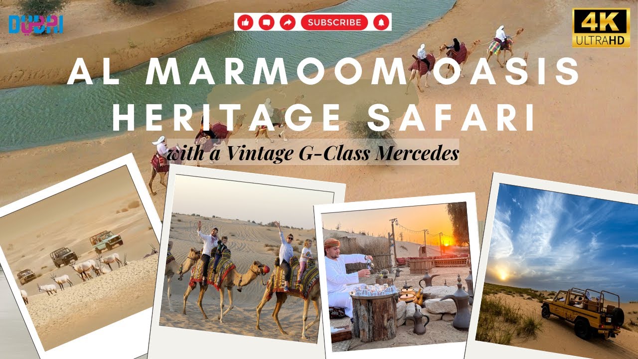 AL MARMOOM OASIS HERITAGE SAFARI WITH A VINTAGE G CLASS MERCEDES|4K|#dubai_diary | Chapter- 43