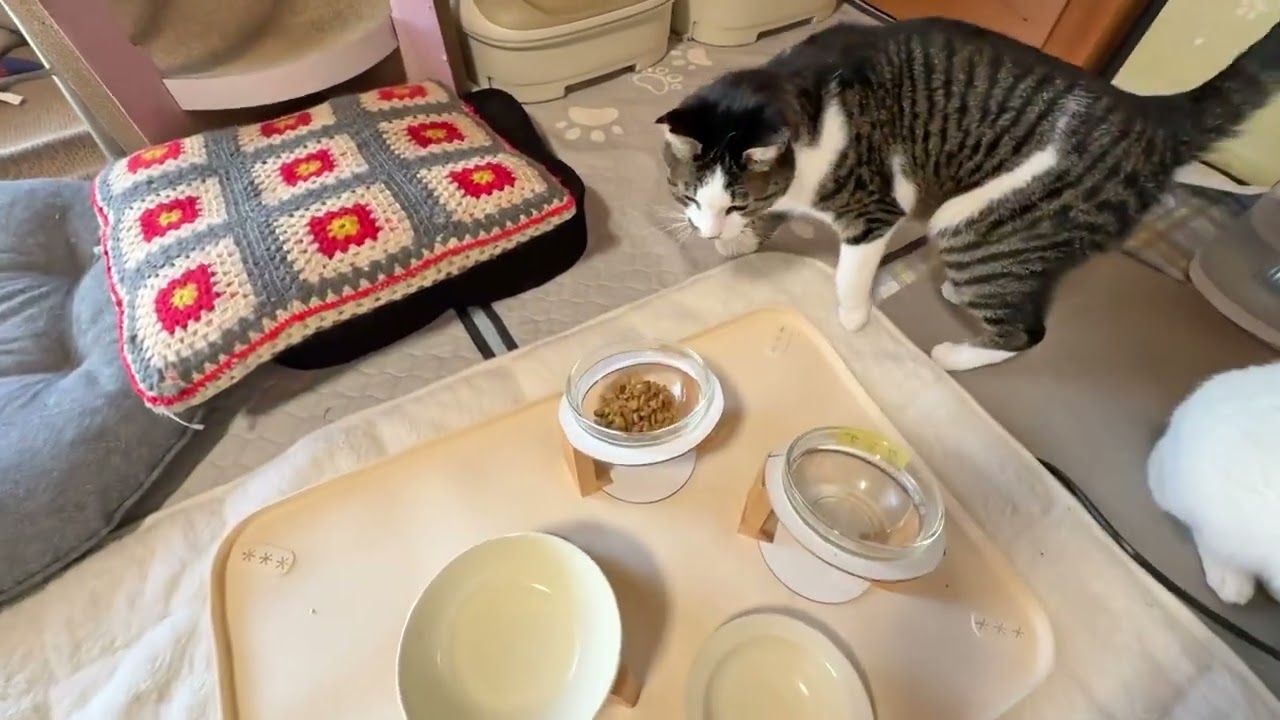 みんなお待ちかねのお昼ごはん【26年3月12日その3】