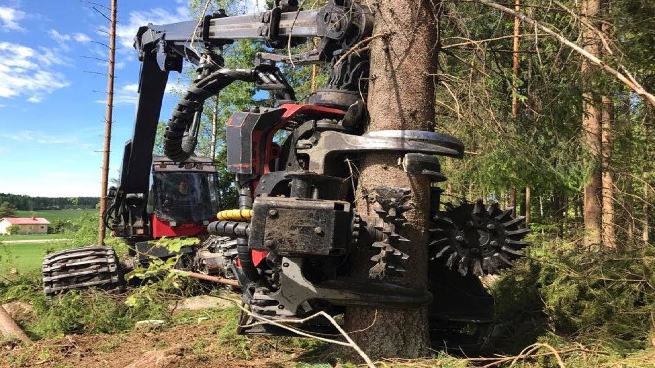 Incredible Tree Cutting Machines | German Technology