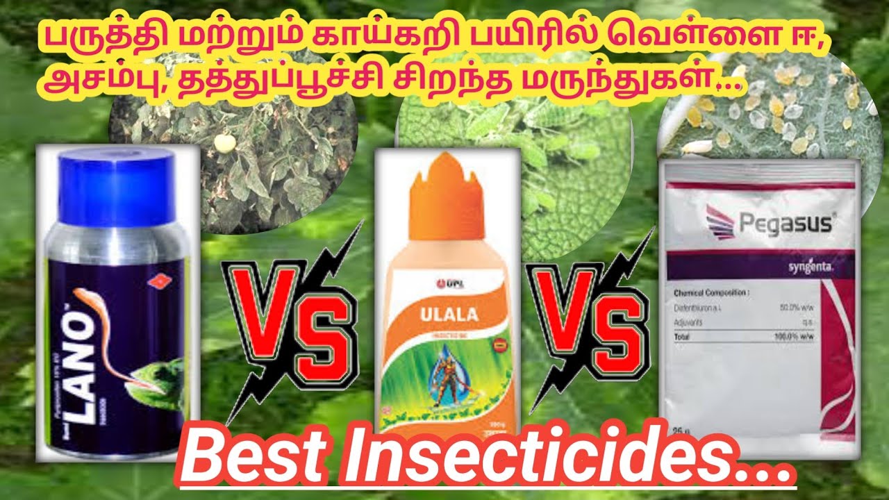 உயர்தர சாறு உறிஞ்சயம் பூச்சிகொல்லி மருந்துகள் எது சிறந்தது? | Best sucking pest Insecticides