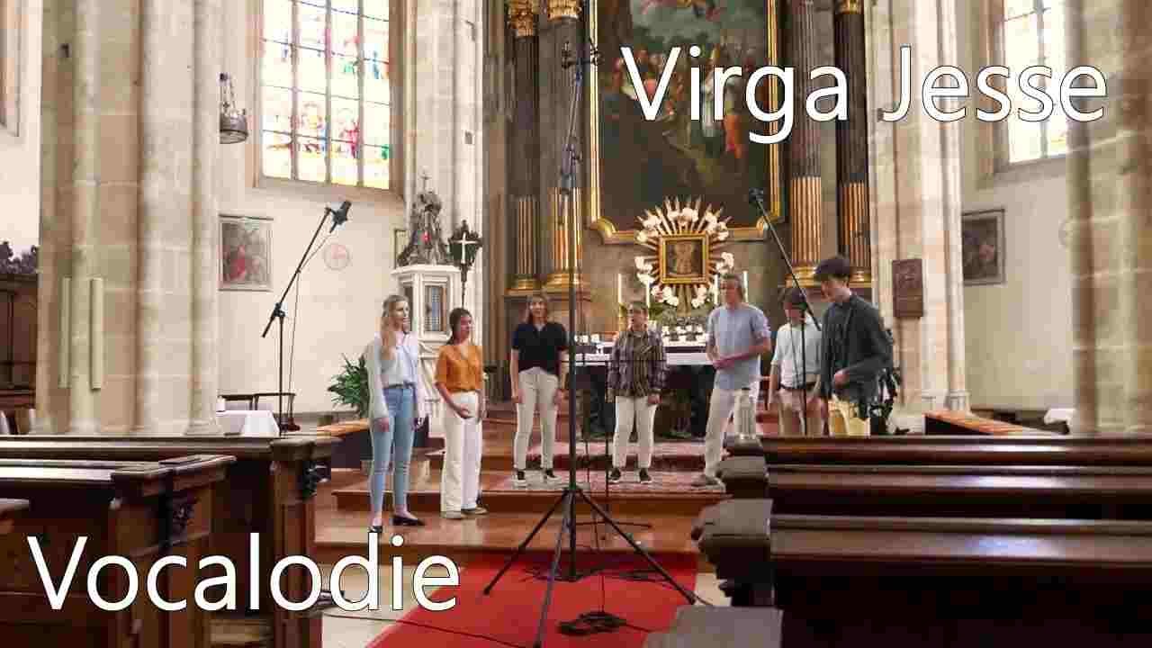 Virga Jesse - A. Bruckner [live]