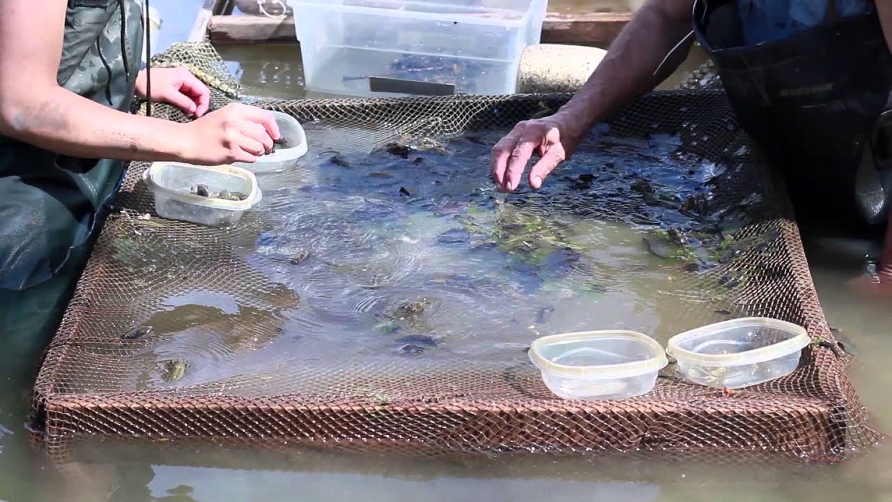 Diana Harvey '15 at Calala's Water Haven in New London, Ohio