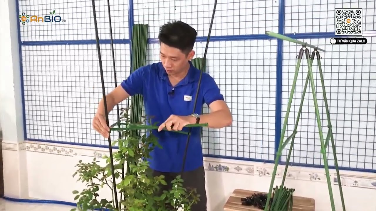 Hệ thống ống thép bọc nhựa nguyên sinh dùng làm giàn đỡ cho cây, hoa, giây leo siêu bền | AnBIO.vn