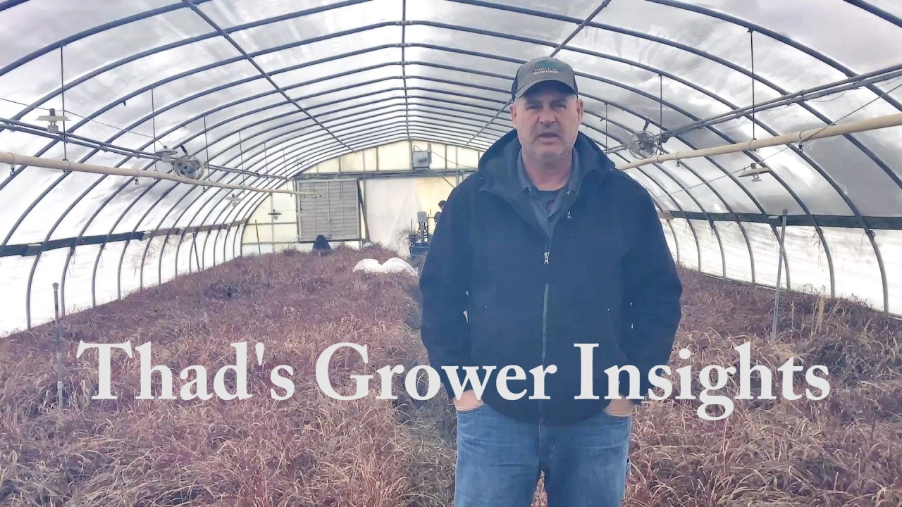 2 24 26 Thad's Grower Insights