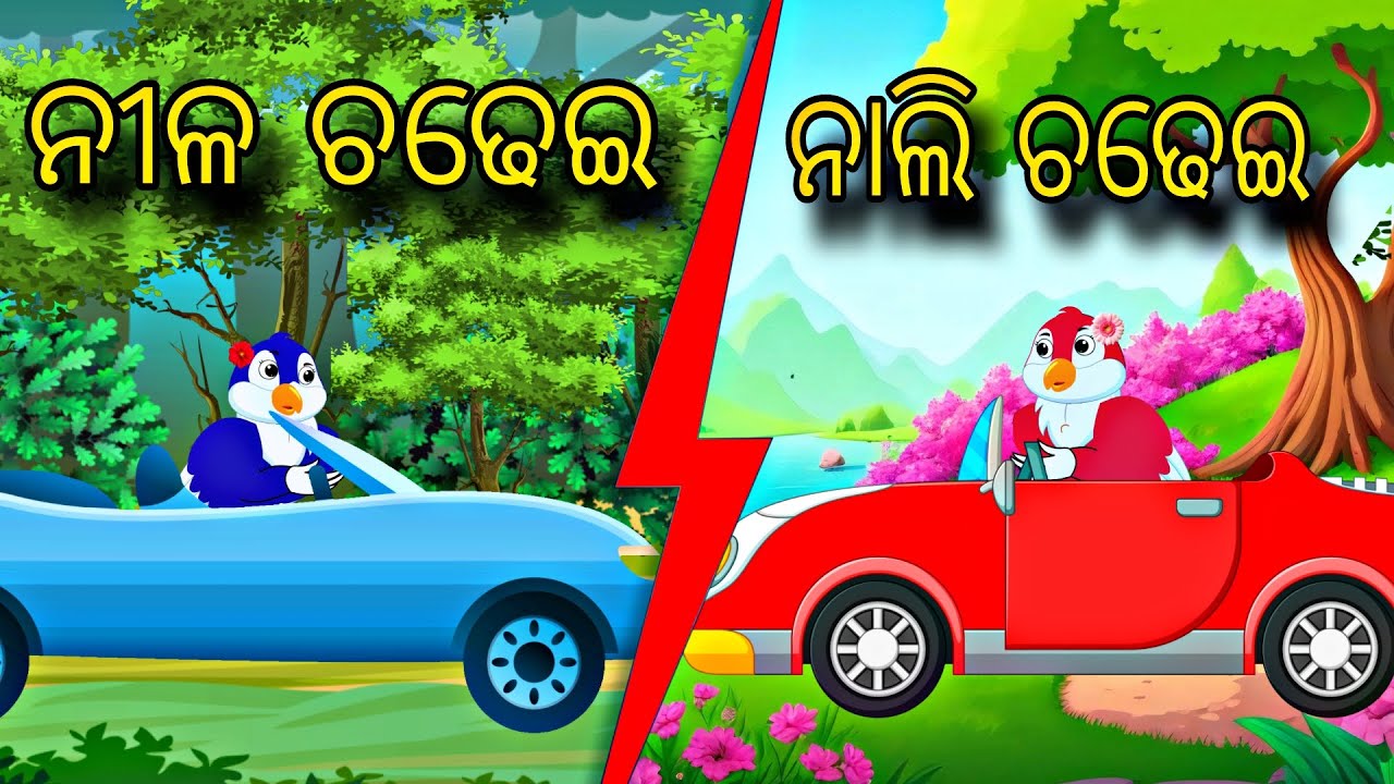 Nila Chadhei Nali Chadhei \\ Odia Stories \\ Odia Gapa \\ New Odia Story \\ Chadhei Gapa \\ Kahani