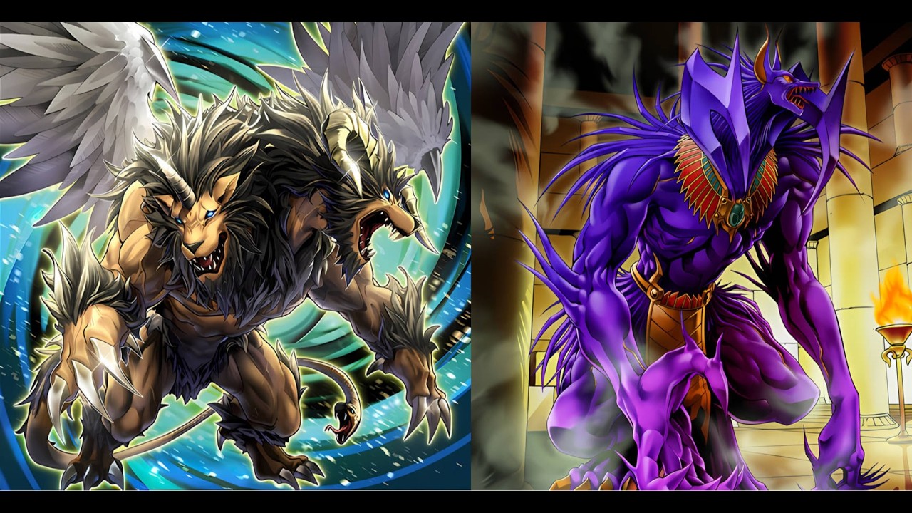 Обзор моей колоды Chimera Hechands и её комбинаций! Конец Anubis & Diabellze!
