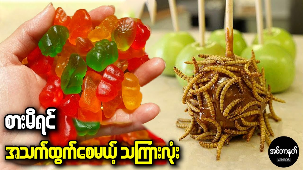 အန္တာရယ်အလွန်များတာကြောင့် ကမ္ဘာတစ်ဝှမ်းမှာတားမြစ်ထားတဲ့ သကြားလုံးများ