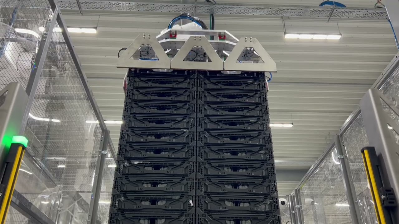 Fully Automated Blueberry Packaging line for Wonderland Farmers