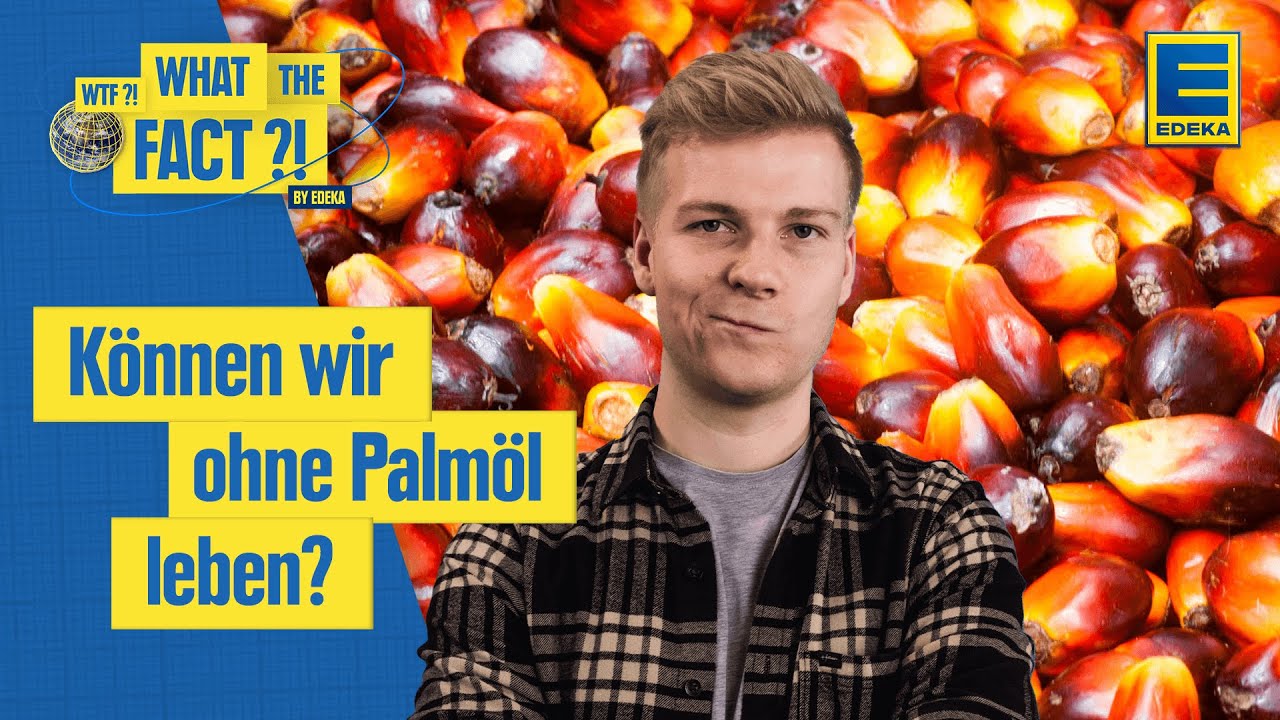Palmölverbrauch | Welche Auswirkungen hat Palmöl auf die Umwelt?