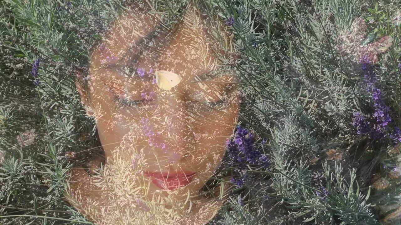 Sury-Butterflies (Official Visualizer)