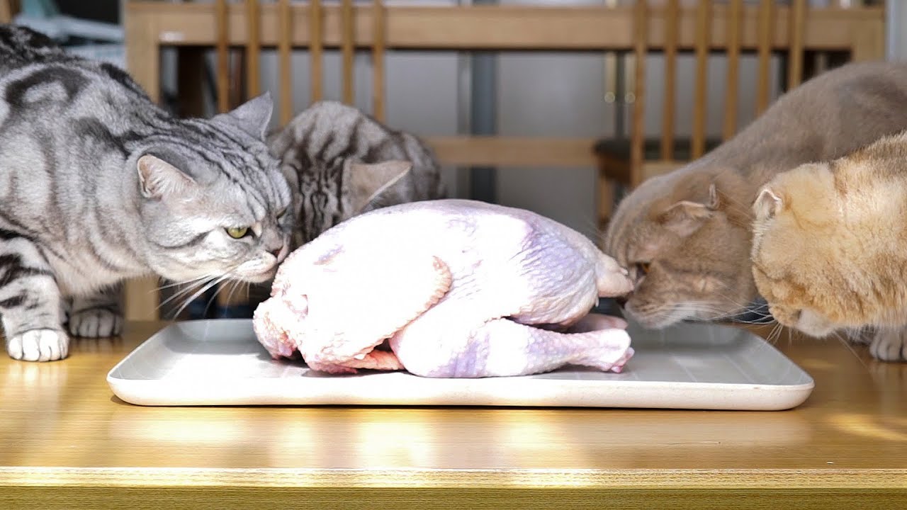 сырой цыпленок VS приготовленный цыпленок!